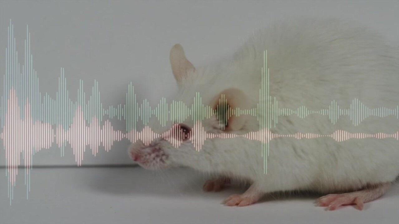 درک