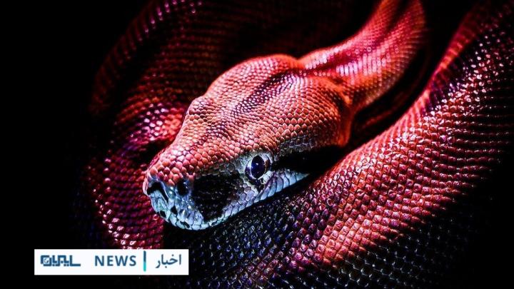 ادعای