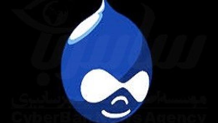 آسیب‌پذیری