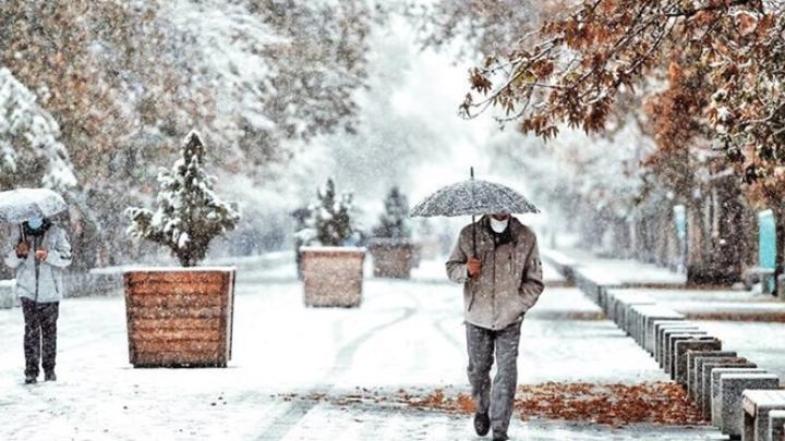 شبکه