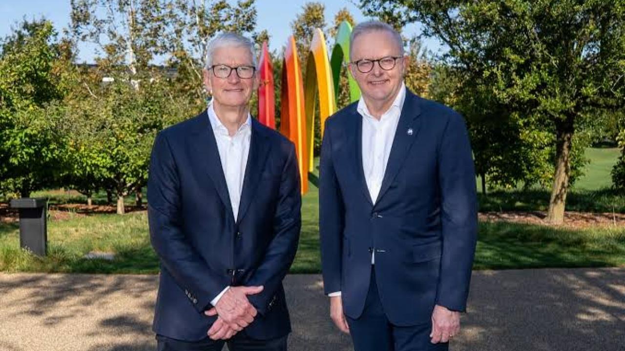 دیدار