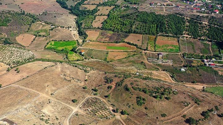 شناسایی