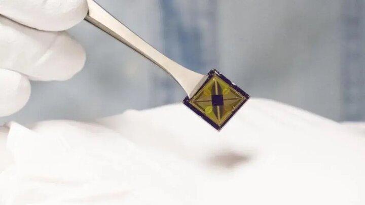 هوش