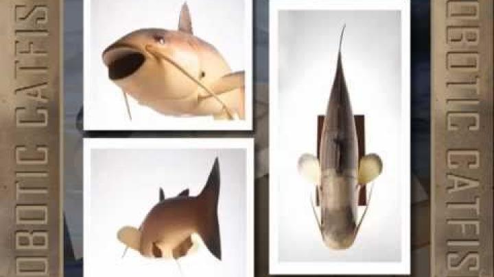 ابداع