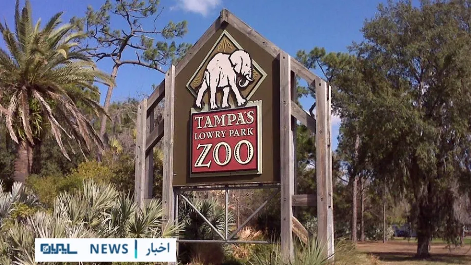 حمله