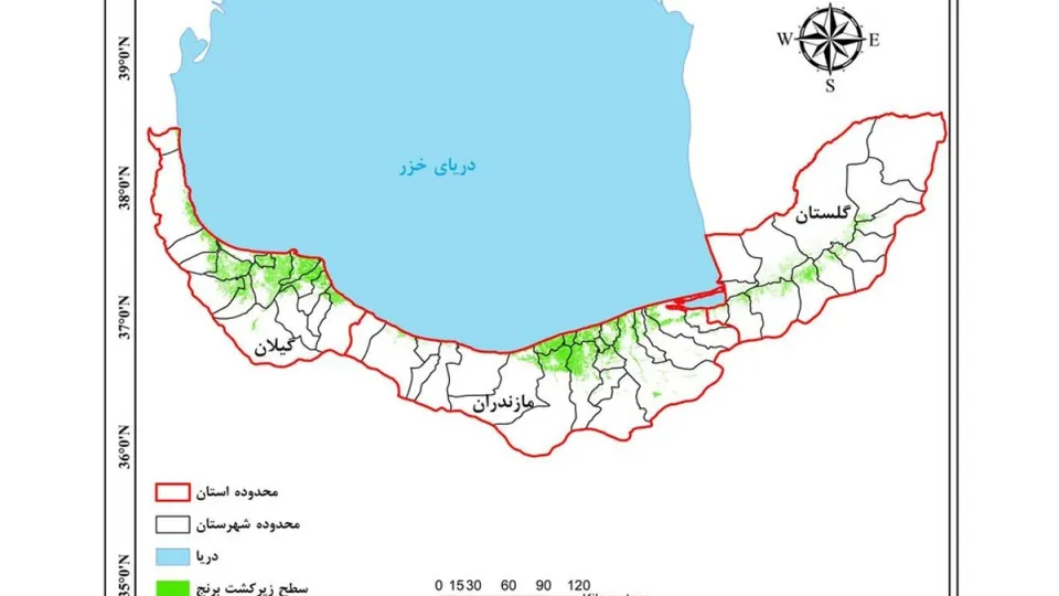 برآورد