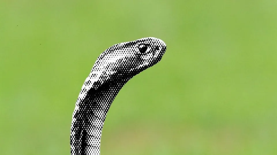 بیش