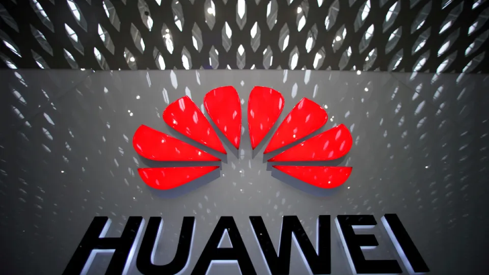 رشد