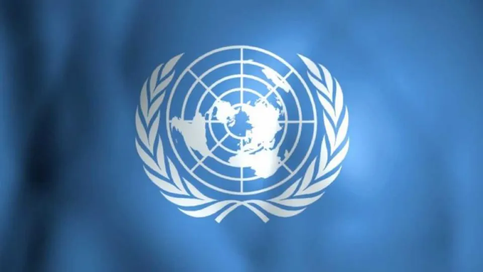 تشکیل