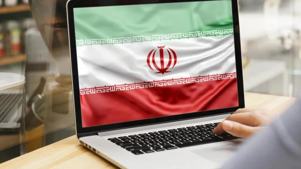 شبکه