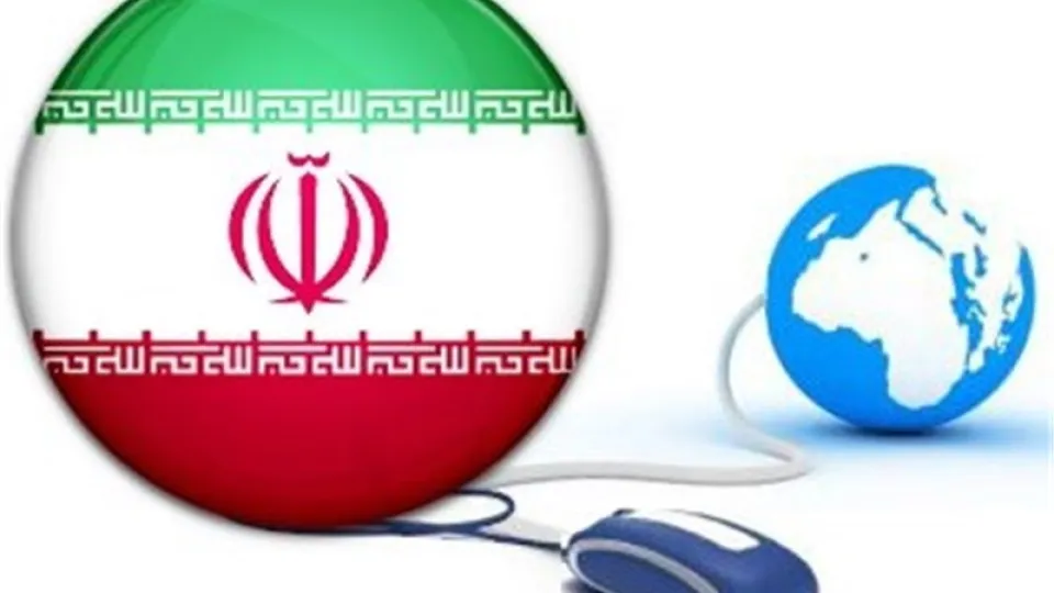 شبکه