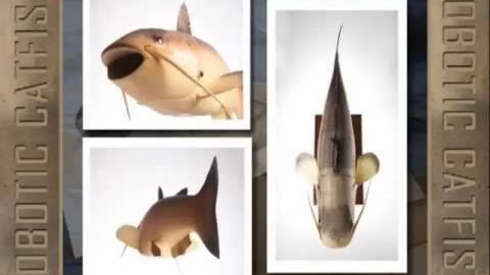 ابداع